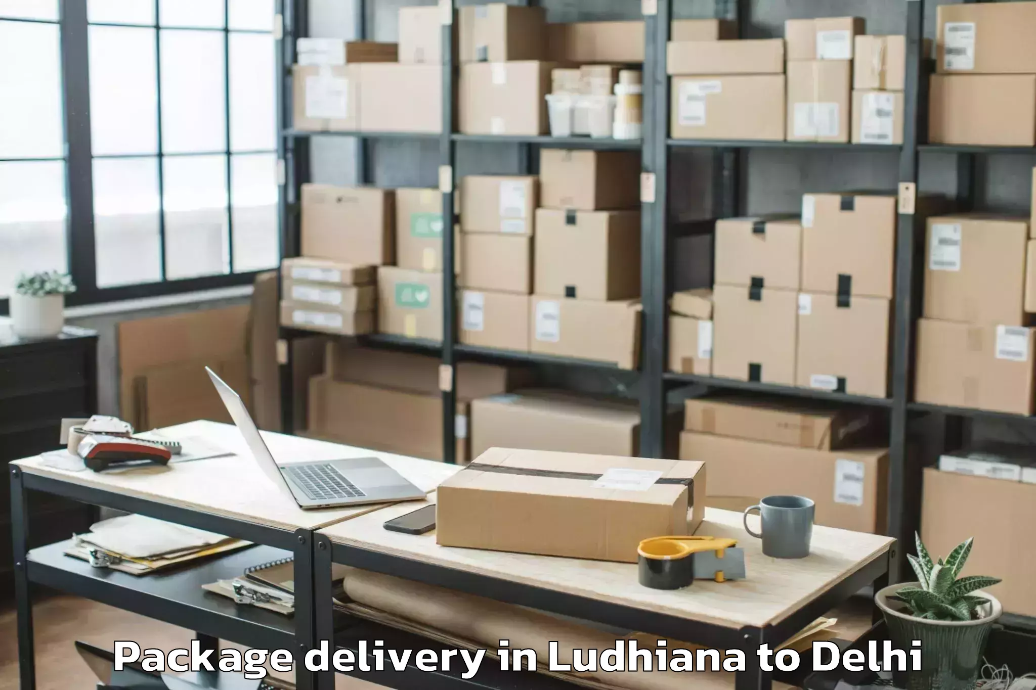 Efficient Ludhiana to Ansal Plaza Mall Delhi Package Delivery